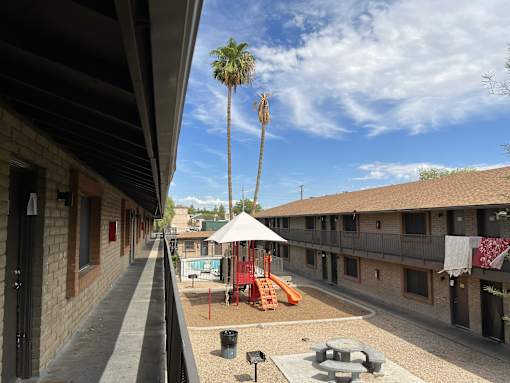 A playground with a slide and a palm tree in the background.