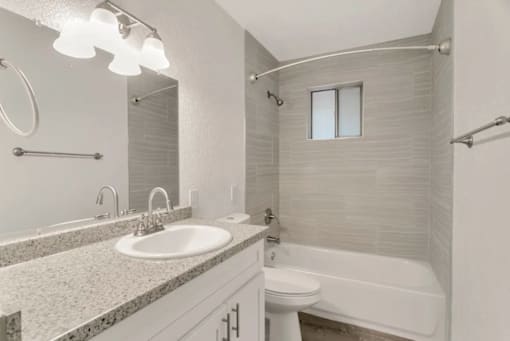 a bathroom with a sink and a toilet and a shower