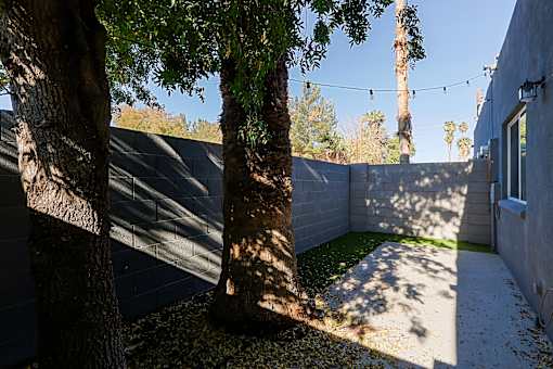 A tree in a yard with a wall and a building in the background.