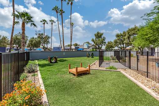 A backyard with a fence, bench, and palm trees.