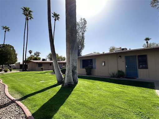 A house with a blue door is surrounded by green grass and palm trees.