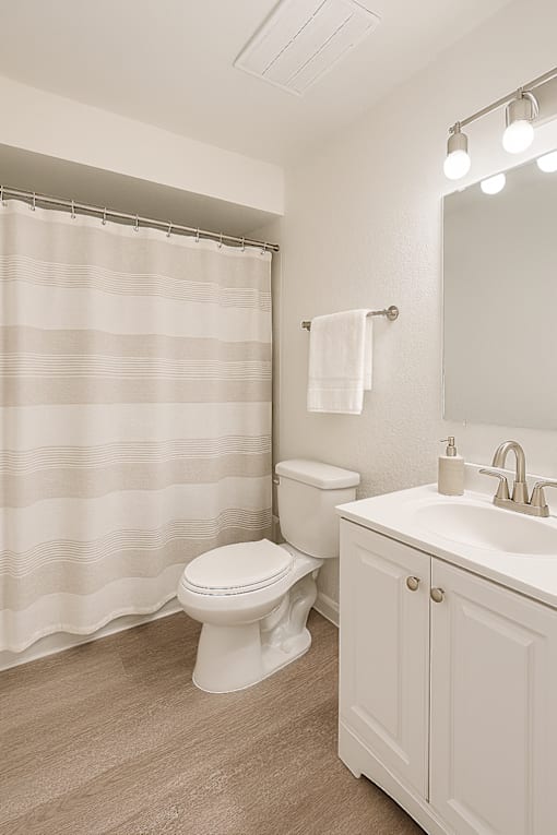 A white toilet sits next to a sink in a bathroom.