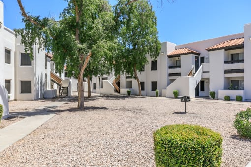 a courtyard with a tree in front of a building at Tides at Mesa, Mesa, 85204