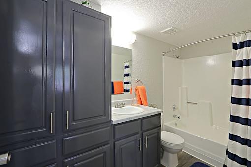 A bathroom with a striped shower curtain and a white sink.