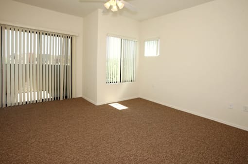 A room with brown carpet and a window with blinds.