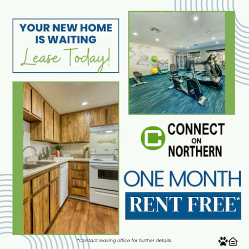 A promotional image for a leasing offer one month rent free at Connect on Northern, featuring a kitchen and gym area.