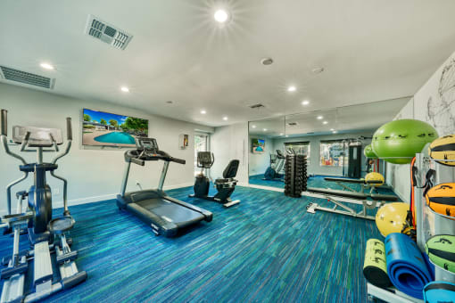 a gym with cardio equipment and weights on a blue rug at Connect on Northern, Glendale Arizona