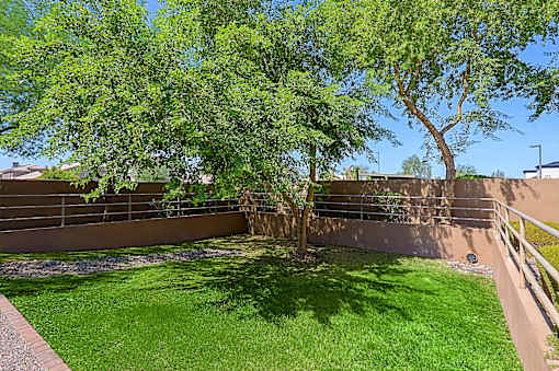 A tree in a yard with a wall and a fence.