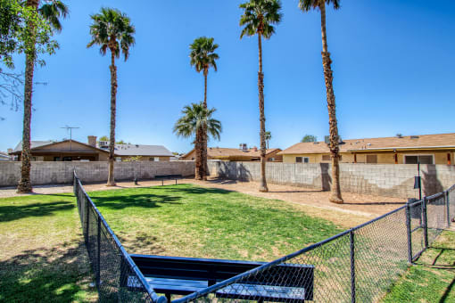 a yard with a bench and a fence with palm trees