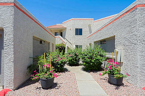 A courtyard with a pathway and potted plants.