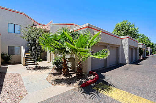 A palm tree is in front of a building.