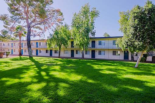 A tree in a grassy area in front of apartment buildings.