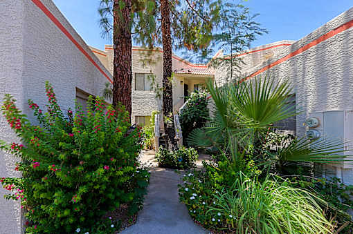 A garden with a pathway and a building in the background.