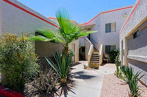 A red car is parked in front of a building with a palm tree in the foreground.