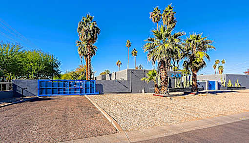 A blue gate blocks the road in front of a building with palm trees.