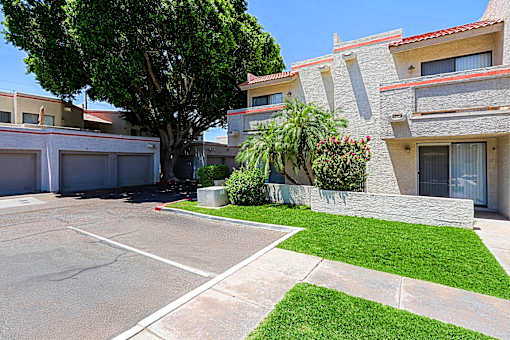 A tree in front of a house with a driveway.