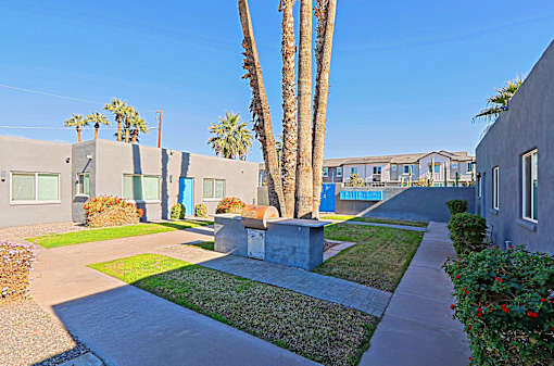 A row of houses with a palm tree in front.