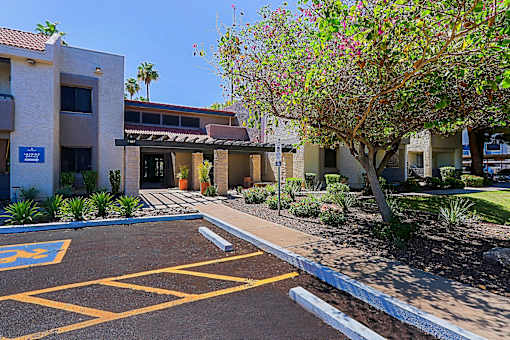 A parking lot in front of a building with a tree and bushes.