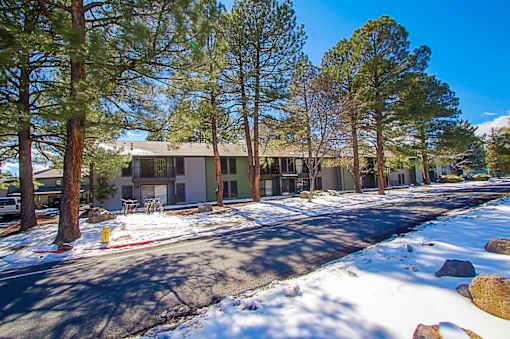 A snowy street with a building and trees on the side.