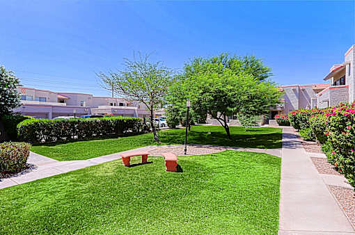 A park with a bench and a tree in the middle of a grassy area.