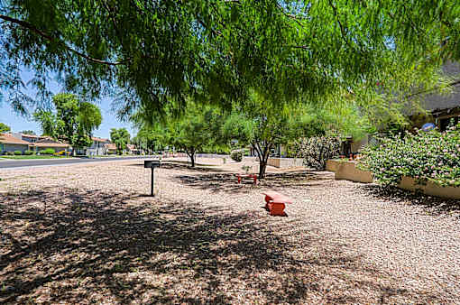 A playground with a swing set and a picnic table under a tree.