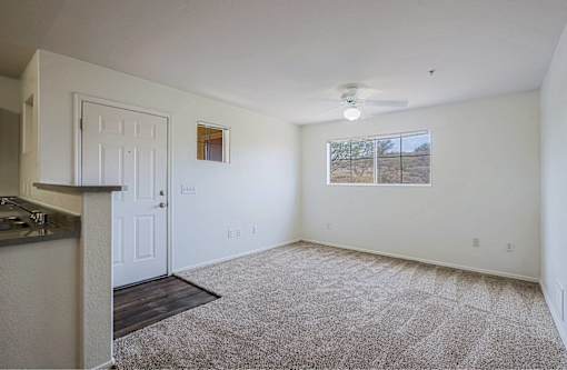 A room with a carpeted floor, a ceiling fan, and a window showing a barren landscape outside.