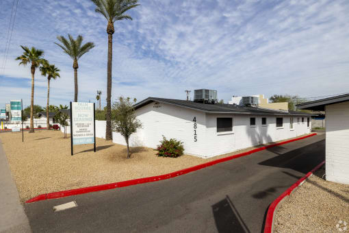 a white building with palm trees and a road in front of it