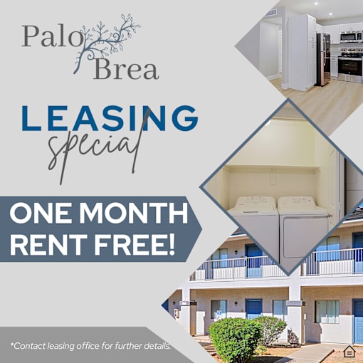 A leasing special for Palo Brea offers one month rent free.
