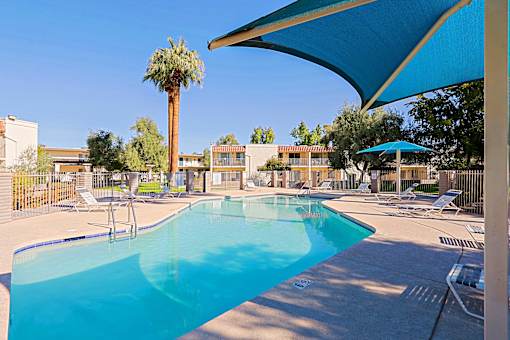 A pool surrounded by chairs and a palm tree.