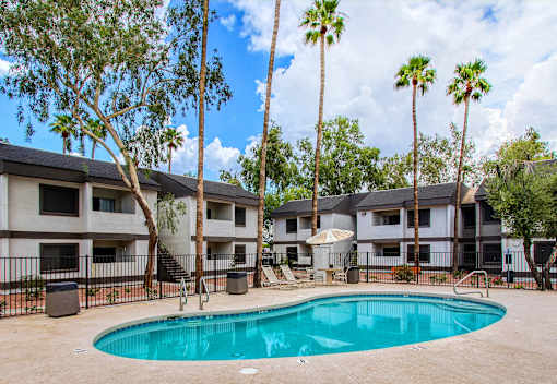 A swimming pool surrounded by palm trees and apartment buildings.