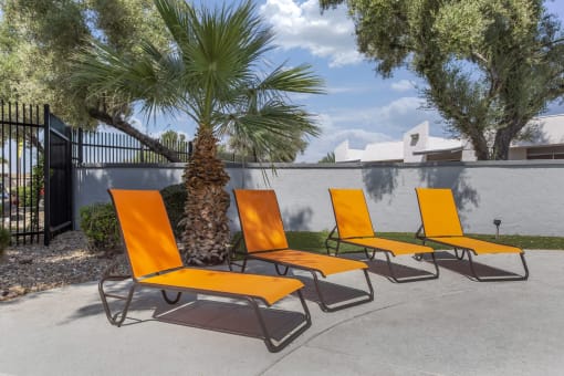 a group of orange lounge chairs on a sidewalk next to a palm tree