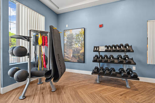 the gym at the at the boulevard apartments tx