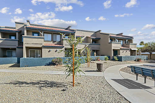 A tree stands in a courtyard in front of apartment buildings.