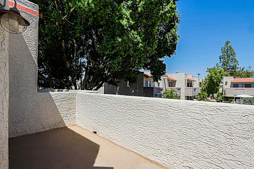 A wall with a shadow of a tree on it.