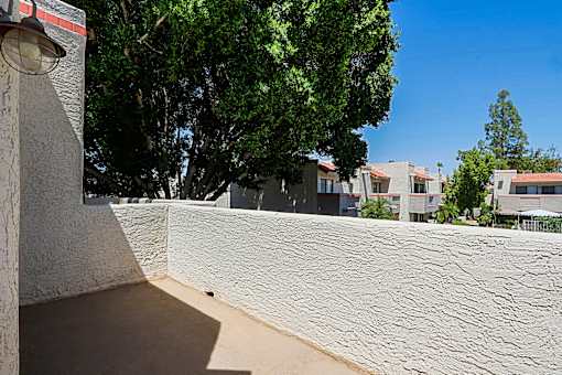 A wall with a shadow of a tree on it.