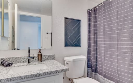 a bathroom with a toilet sink and shower and a mirror