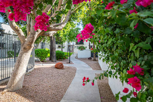 a walkway with trees and flowers in a courtyard