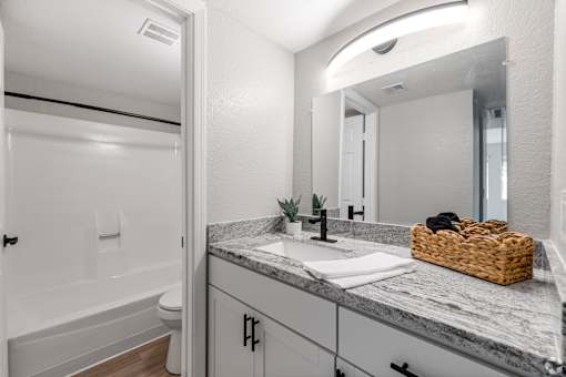 a bathroom with a sink and a mirror