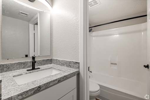 a bathroom with a sink and a toilet and a shower