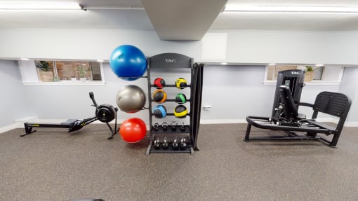fitness center with exercise balls, and cardio machines at 2800 woodley apartments in washington dc