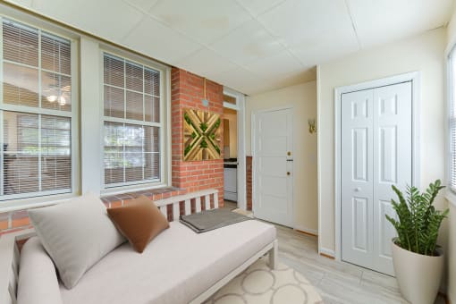 a living room with a couch and a potted plant