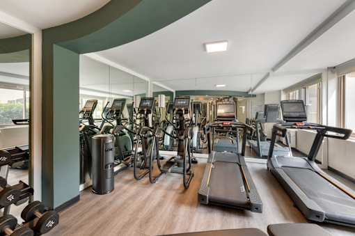 A gym with treadmills, weights, and exercise machines.