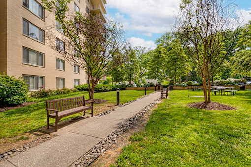A park with a bench and a pathway.