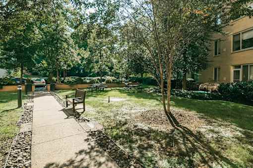 A park with a bench and a tree in the foreground.