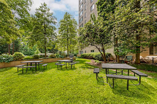 Picnic tables are set up in a grassy area surrounded by trees.