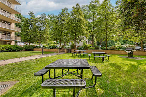 A picnic table is in the middle of a grassy area.