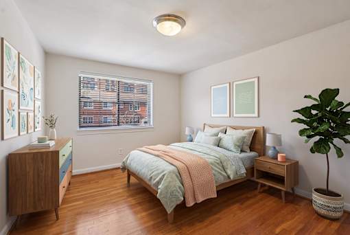 A bedroom with a bed, nightstand, and a plant.