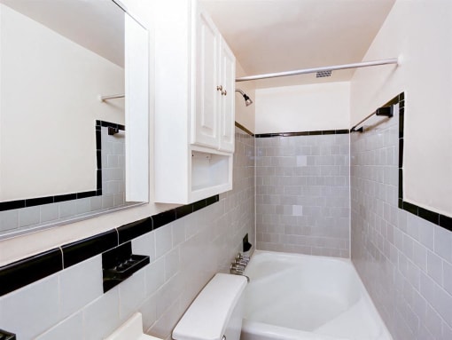 bathroom with tub, vanity, large mirror, medicine cabinet, and tile details at  315 Mount Pleasant apartments in washington dc