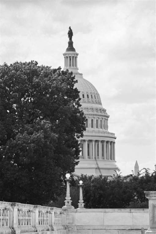 the united states capitol in washington dc
