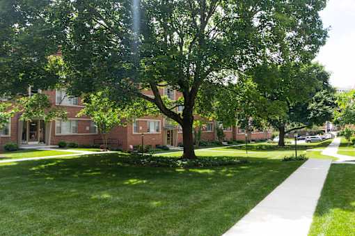 A tree in a grassy area in front of a building.